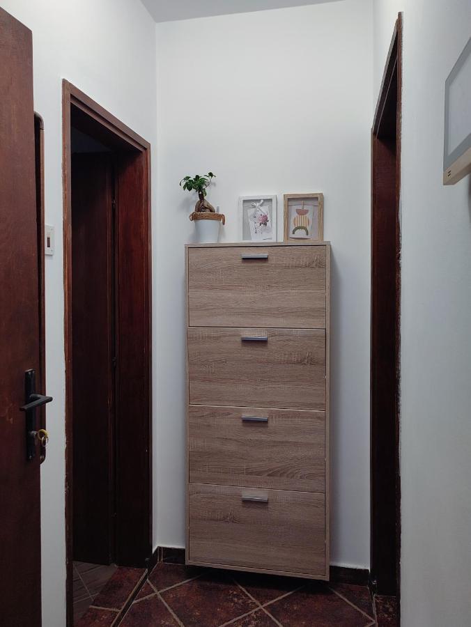 Mila City Center-Free Parking Apartman Vranje Kültér fotó