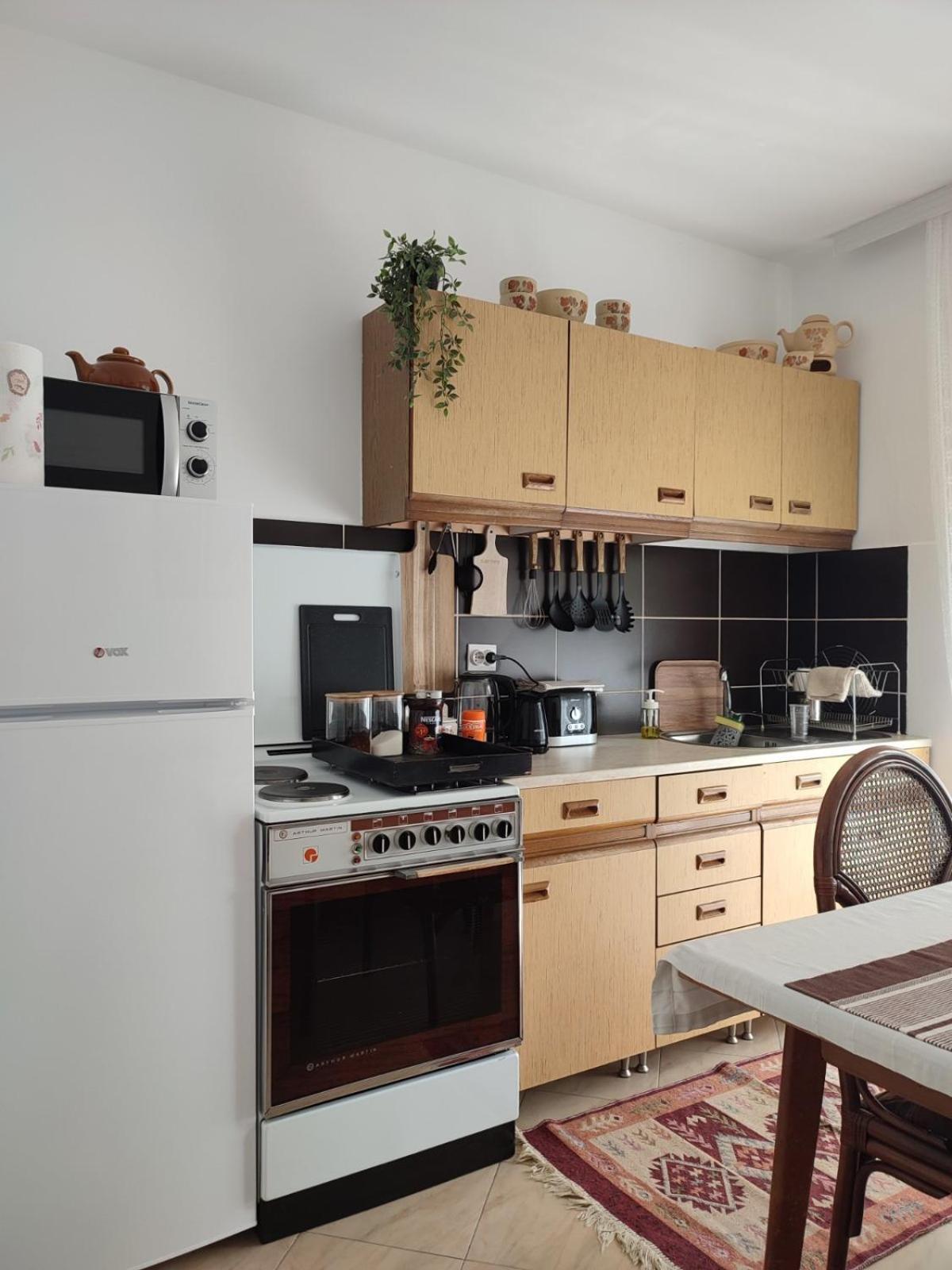 Mila City Center-Free Parking Apartman Vranje Kültér fotó